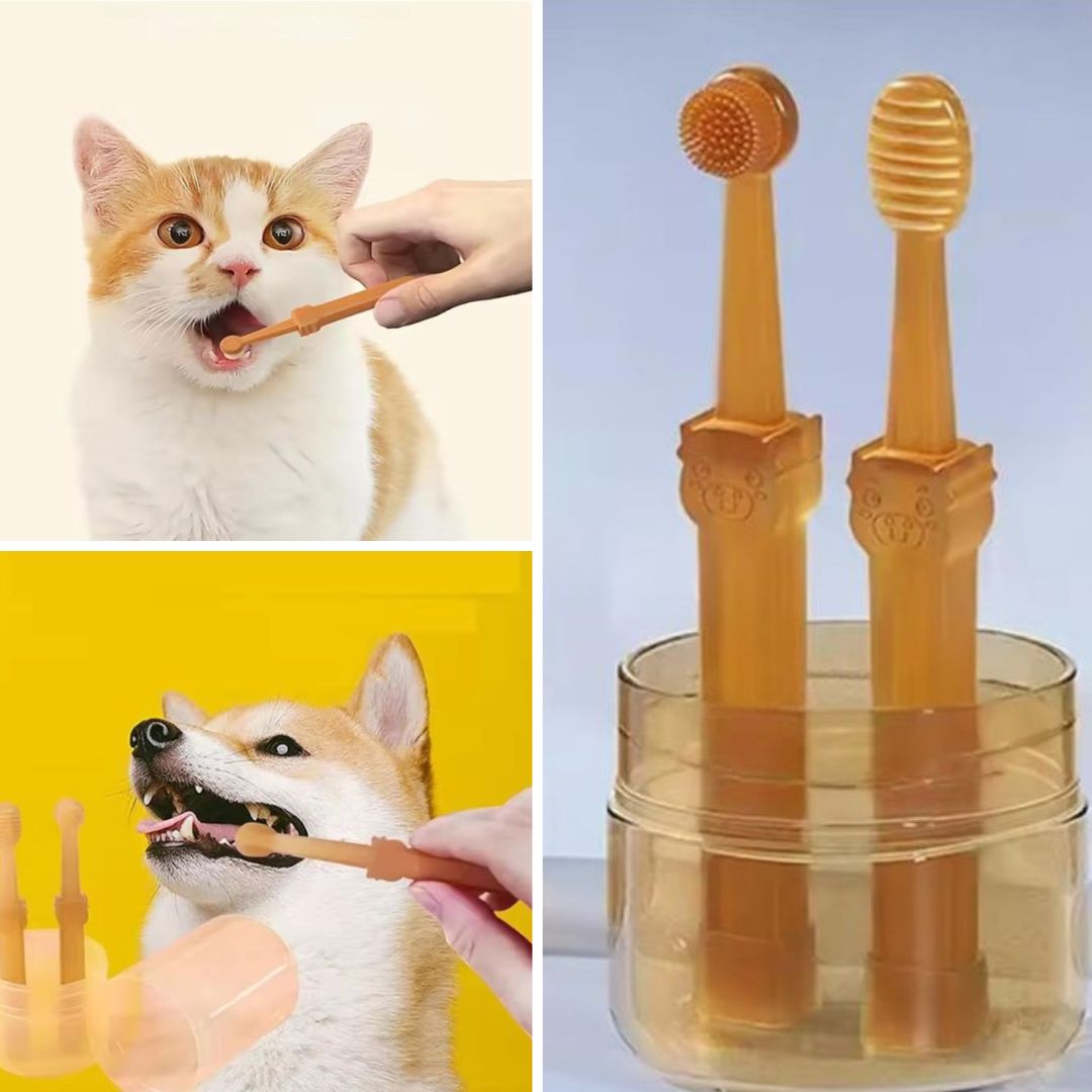 Zahnputzspaß für Tiere